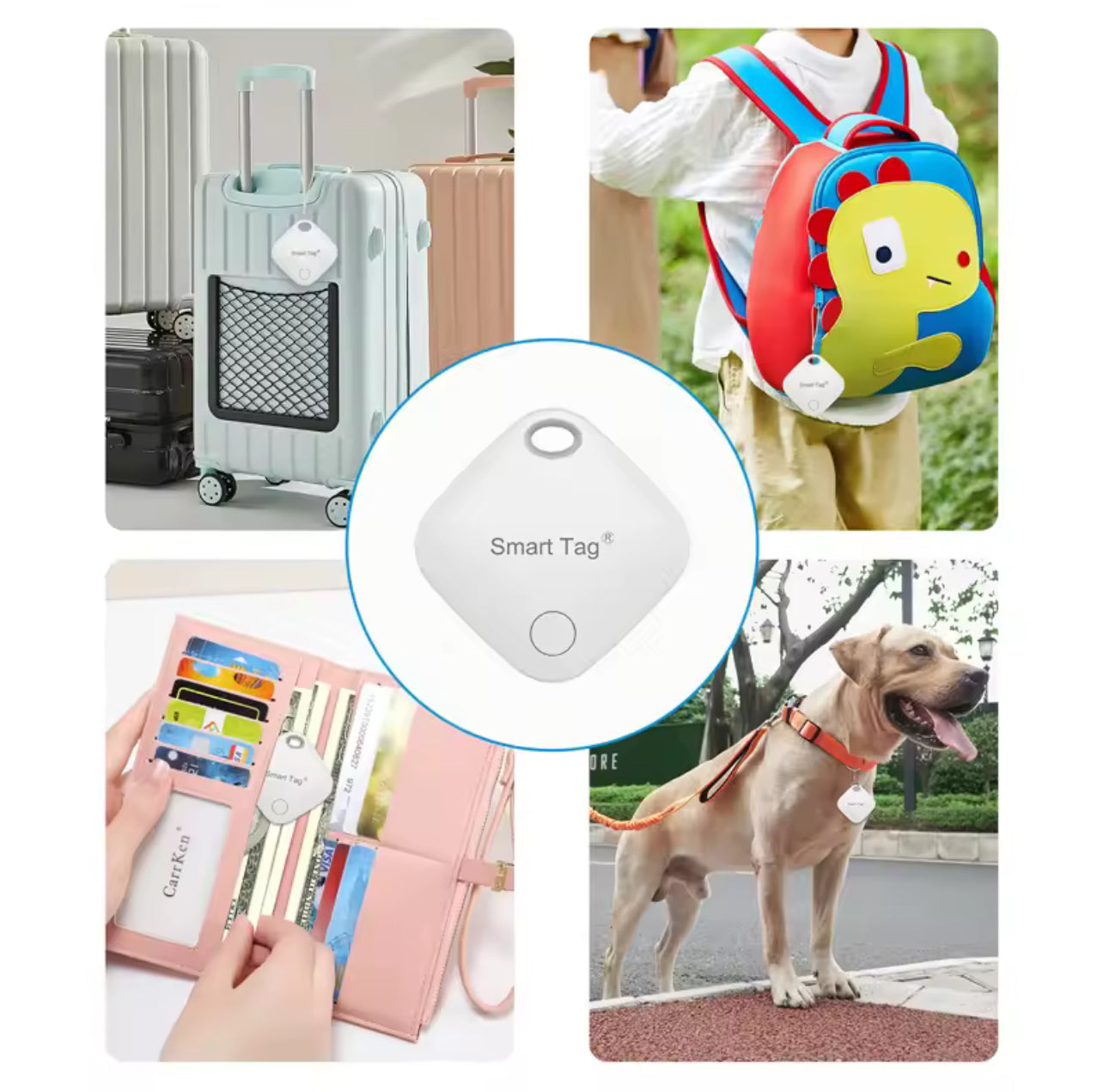 🛰️ Traceur intelligent Chipie ❤️ – Sécurité mondiale pour chiens & chats