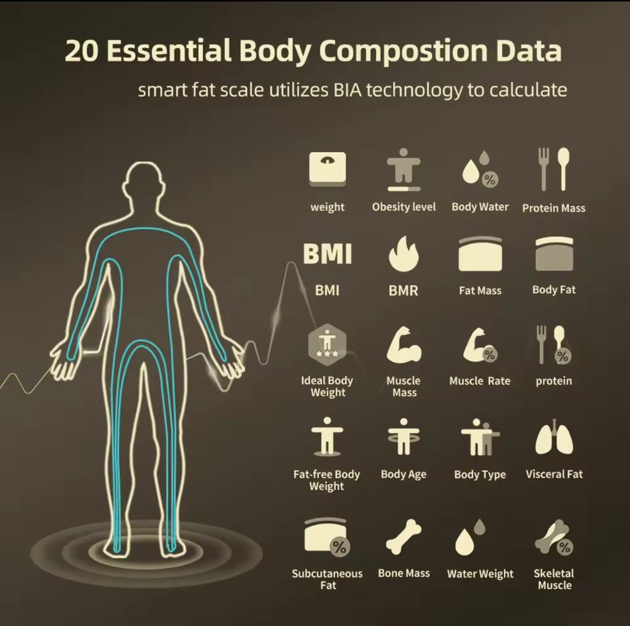Báscula inteligente para medir la composición corporal